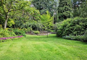 Optimiser l'expérience du jardin à Luxemont-et-Villotte